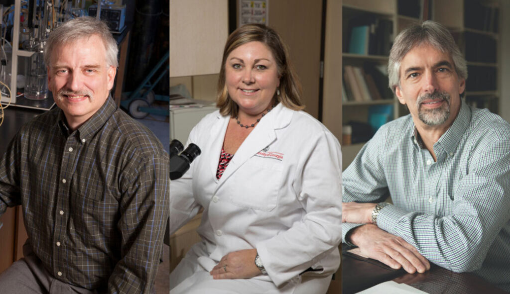 Three faculty named NAI Senior Members