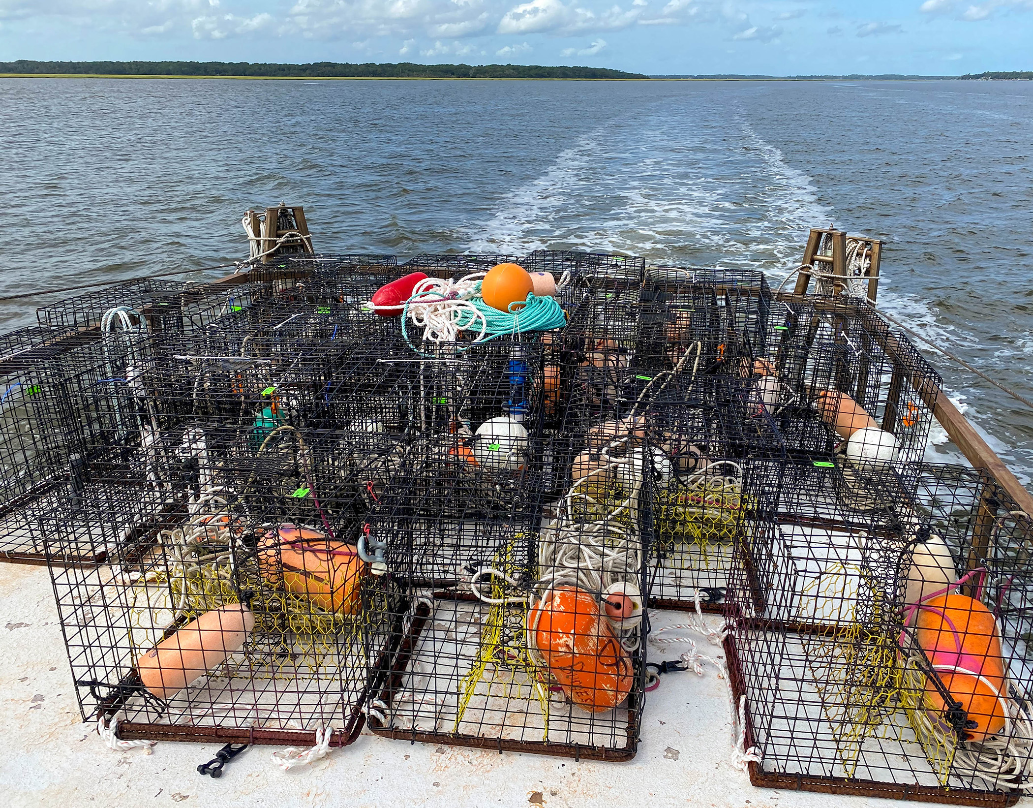 https://news.uga.edu/wp-content/uploads/2021/03/2009-Fisheries-Photos-Ropeless-Fishing-Gear-15.jpg