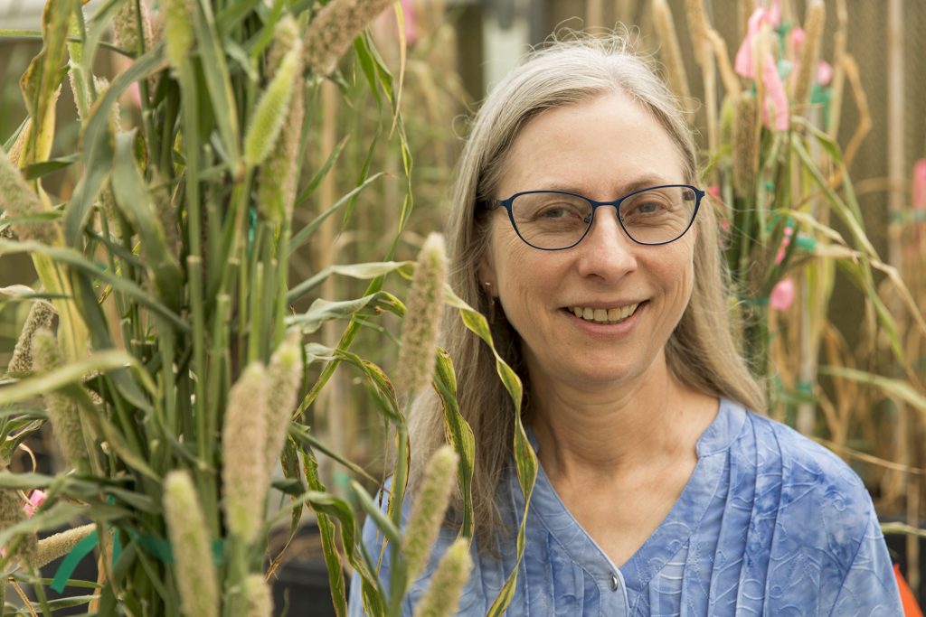 Peggy Ozias-Akins in her greenhouse.