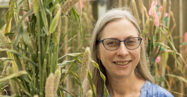 Peggy Ozias-Akins in her greenhouse.