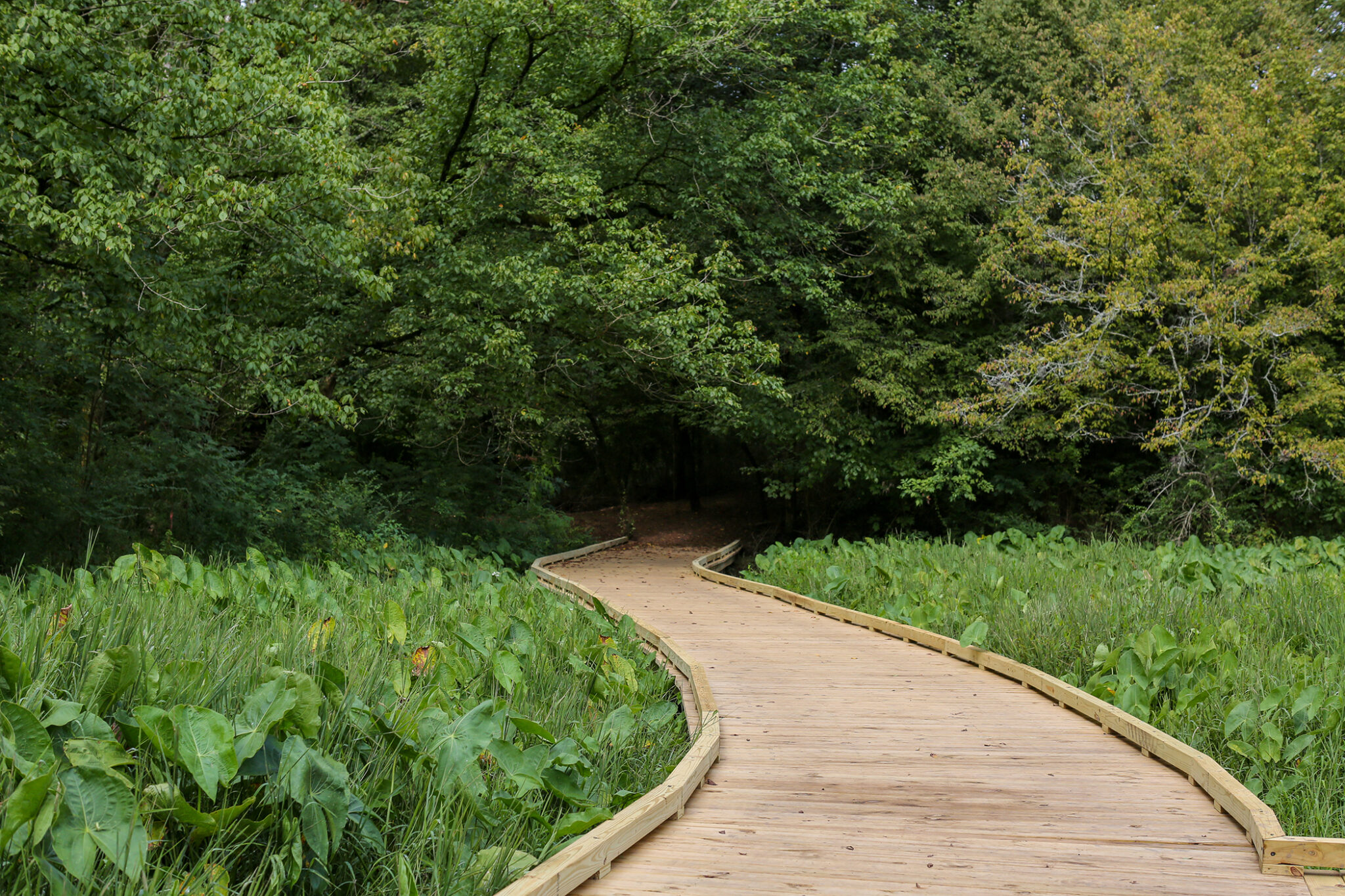 Botanical Garden nature trails now more accessible