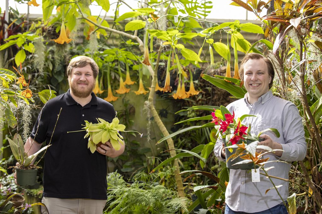 Graduate students Mason McNair and Mark Zenoble in the plant biology greenhouse.