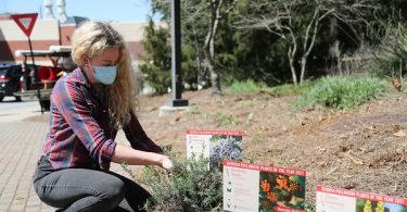Lauren Muller helps install plants