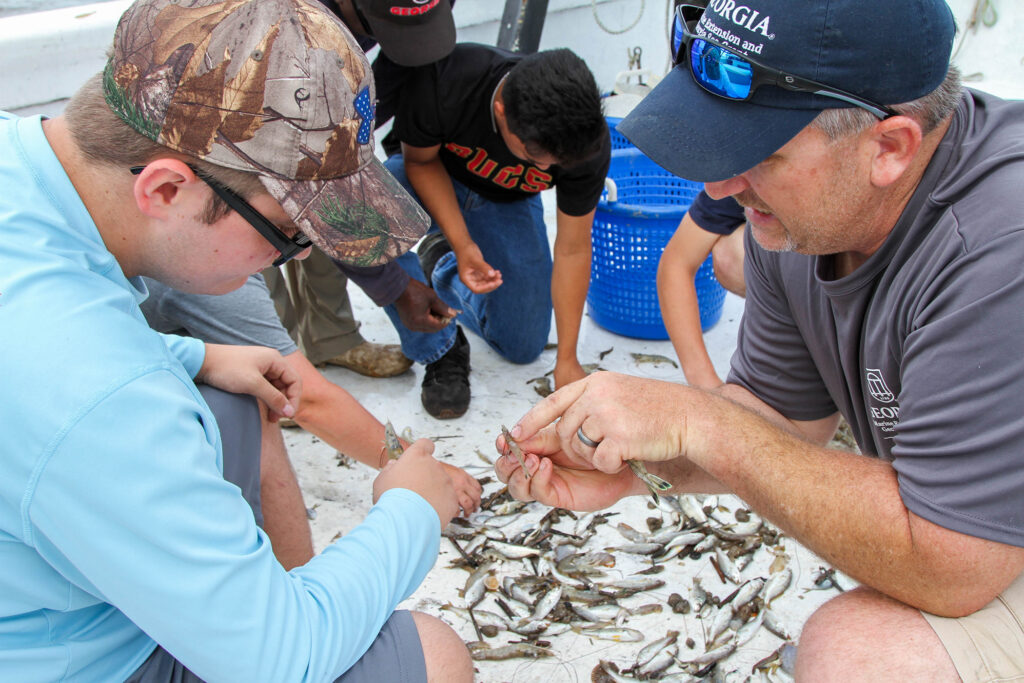 Bryan Fleuch shows students how to identify and sort shrimp