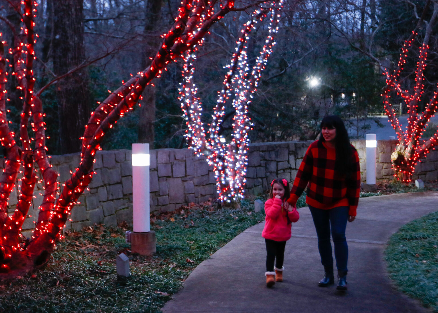 Holiday Lights Show at State Botanical Garden of in Athens