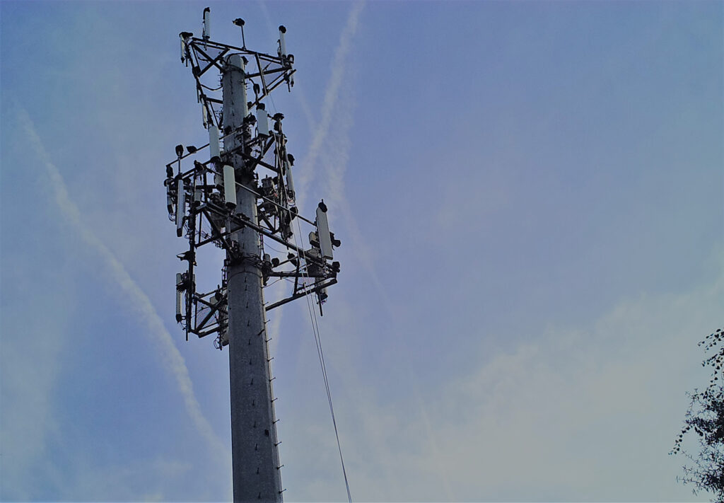 Vultures roosting on a communication tower