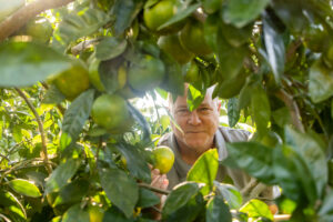 John Crawford BSA '92 is a citrus farmer, with hundreds of satsuma trees across his property in Ocilla. 