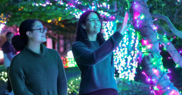 two women looking at light display