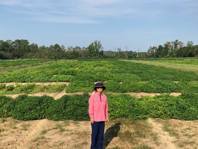 Ye Juliet Chu stands in a field of peanut rows. She's wearing a sun hat with chin strap, pink sweatshirt, and dark pants.
