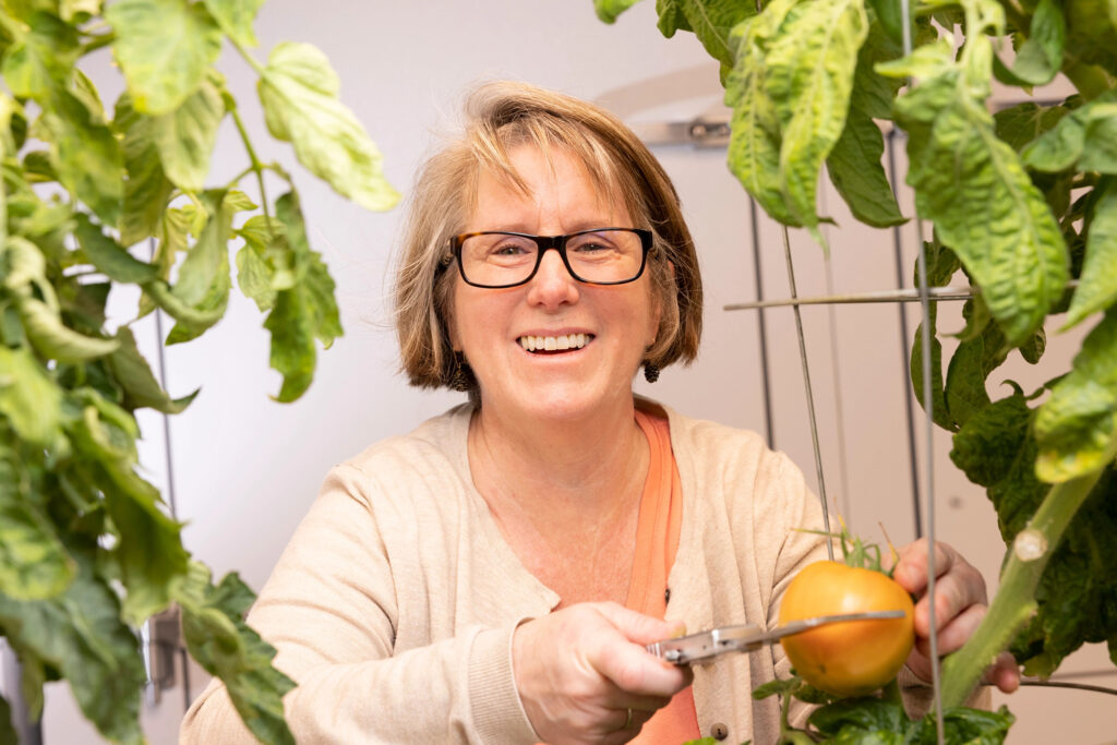Researcher Robin Buell holds a tomato 