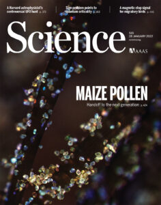 The cover of the Jan. 28 issue of Science shows an up-close shot of maize pollen.