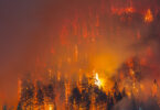 A wildfire burns bright backlighting trees along a river gorge in Oregon.