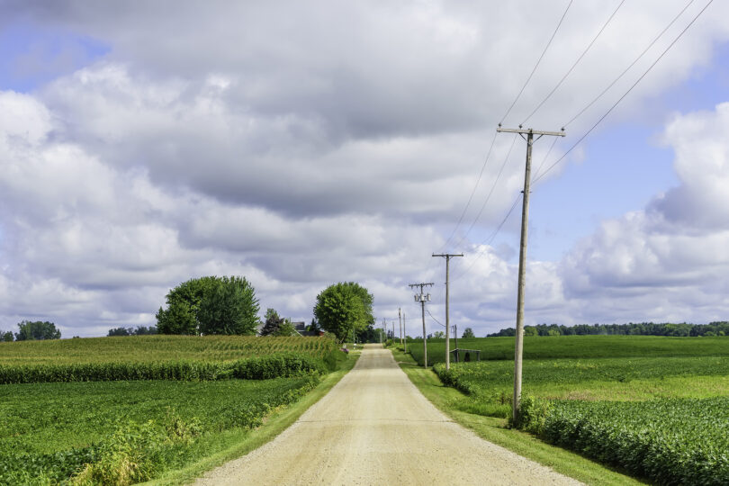 A rural dirt road sits between two green fields of farmland with power lines running along the right side of the road on a sunny day.