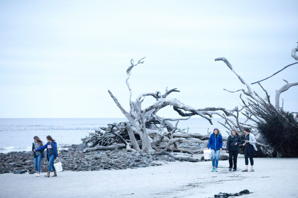 A researcher and her team are shown walking on a beach full of driftwood.