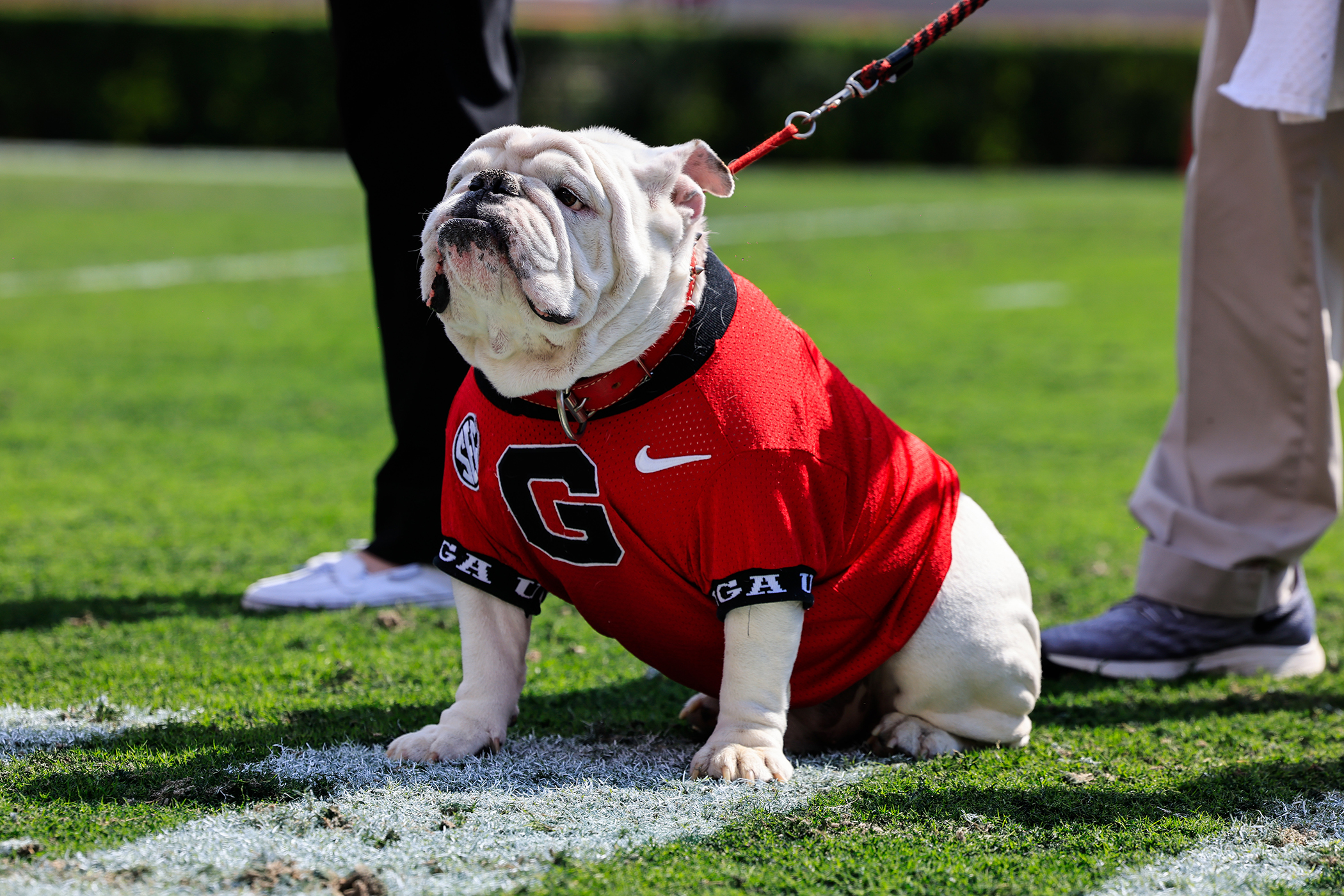G-Day: Red beats black, Uga XI gets collared