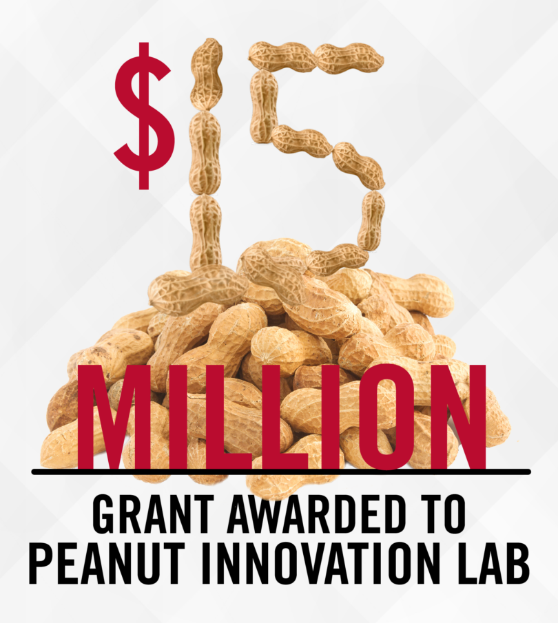 Peanut Innovation Lab receives 15 million