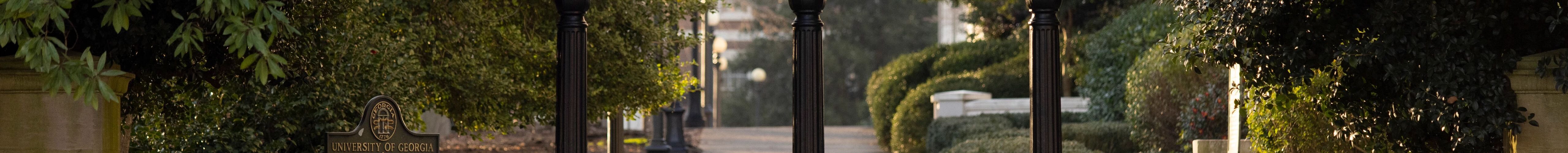 UGA's Arch highlighted by early morning sunlight. (Photo by Andrew Davis Tucker/UGA)