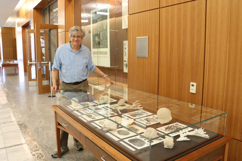 Exhibition on coral details the history, ecology of ocean creatures