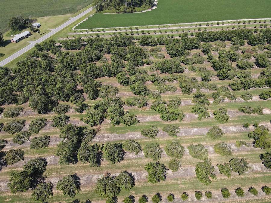 UGA Extension offers disaster support throughout the state