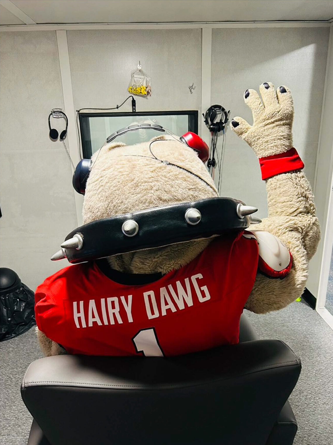 UGA’s Hairy Dawg Gets His Hearing Tested - UGA Today