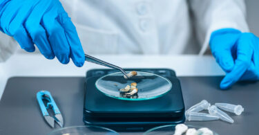 A researcher in blue gloves uses tongs to move psychedelic mushrooms onto a dish in a lab.