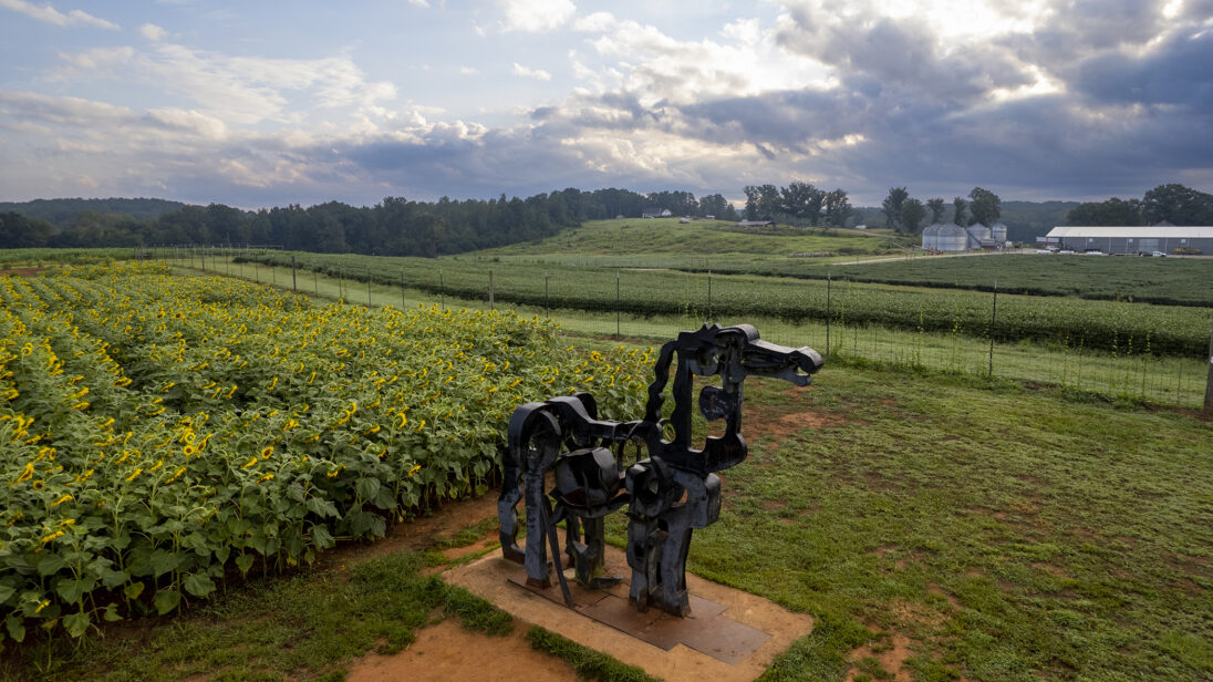 Iron Horse to be restored UGA Today