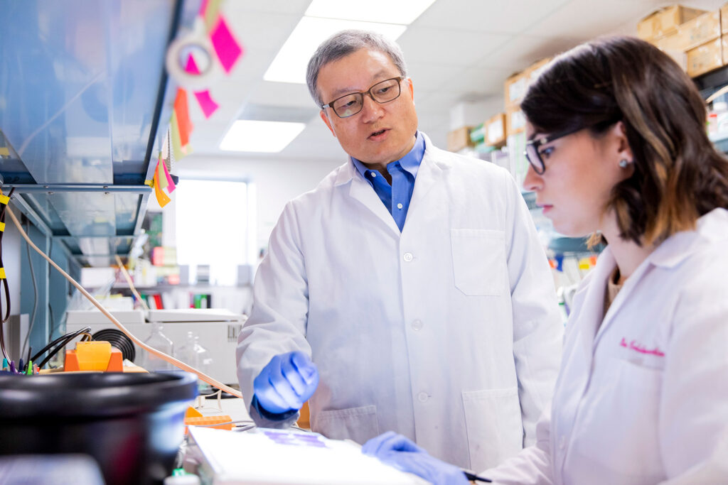 Dr. Biao He in the lab collaborating with another member of his vaccine research team.