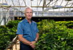 Environmental portrait of GRA Eminent Scholar, Scott Jackson, in a blue short-sleeved button down shirt in a greenhouse with rows of plants behind him.