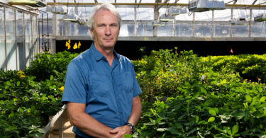 Environmental portrait of GRA Eminent Scholar, Scott Jackson, in a blue short-sleeved button down shirt in a greenhouse with rows of plants behind him.