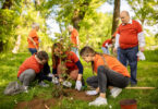 Volunteers outdoors on a sunny day, planting a tree