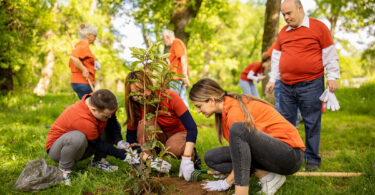 Six people in orange shirts are shown volunteering outside. The three people in the foreground are planting a tree.