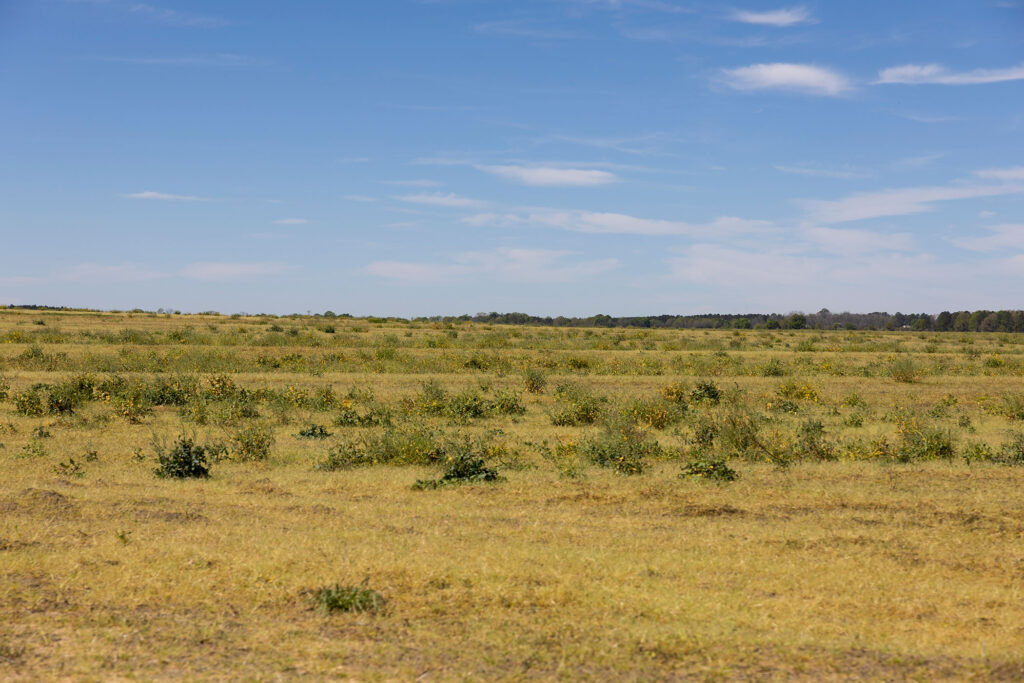 A rural landscape in Hawkinsville, Georgia.