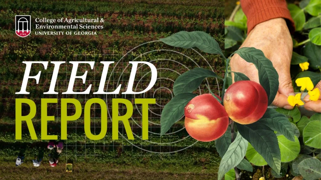 CAES launches new Field Report website with news, events, resources