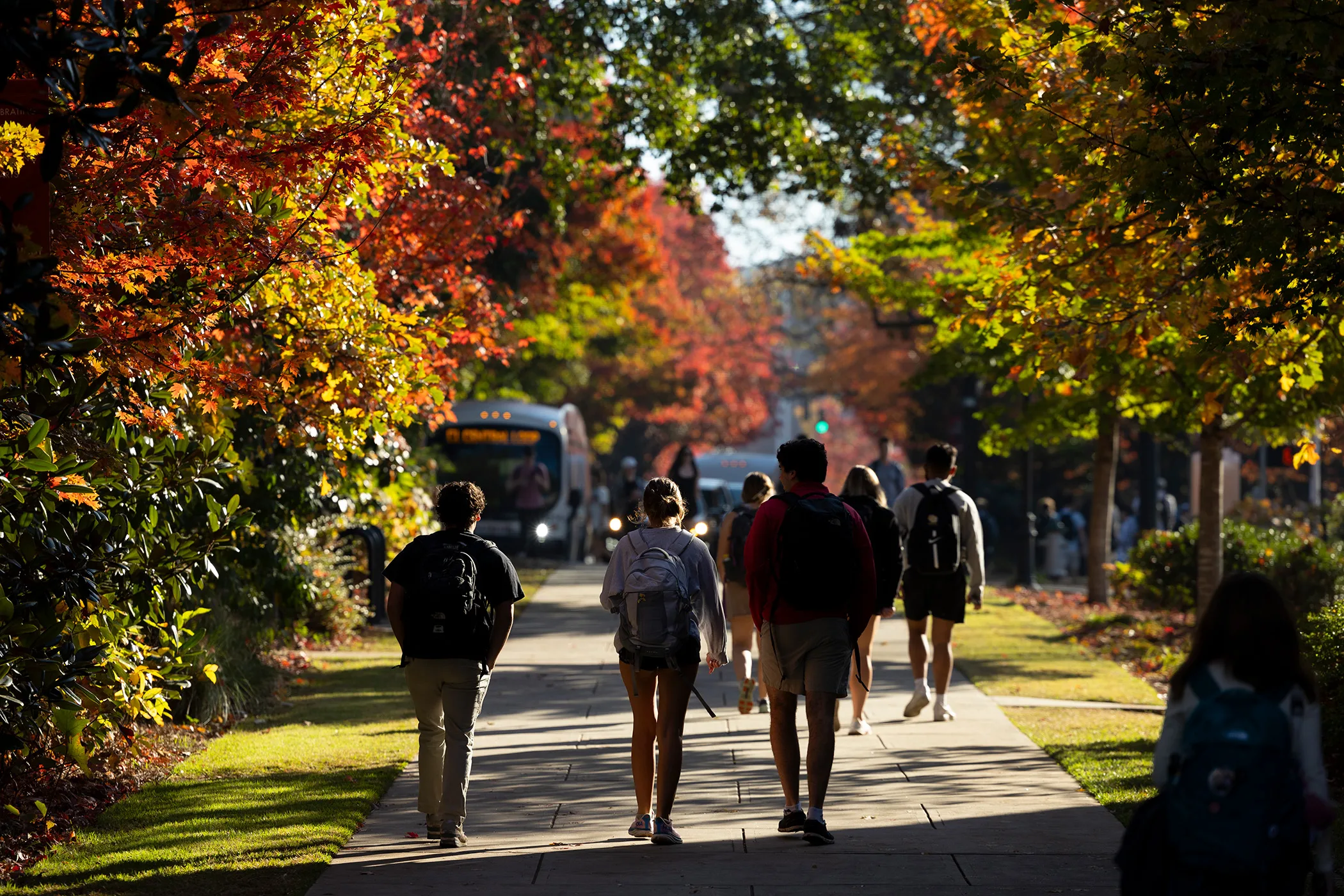 Students walking on a sidewalk lined by trees sporting fall foliage.