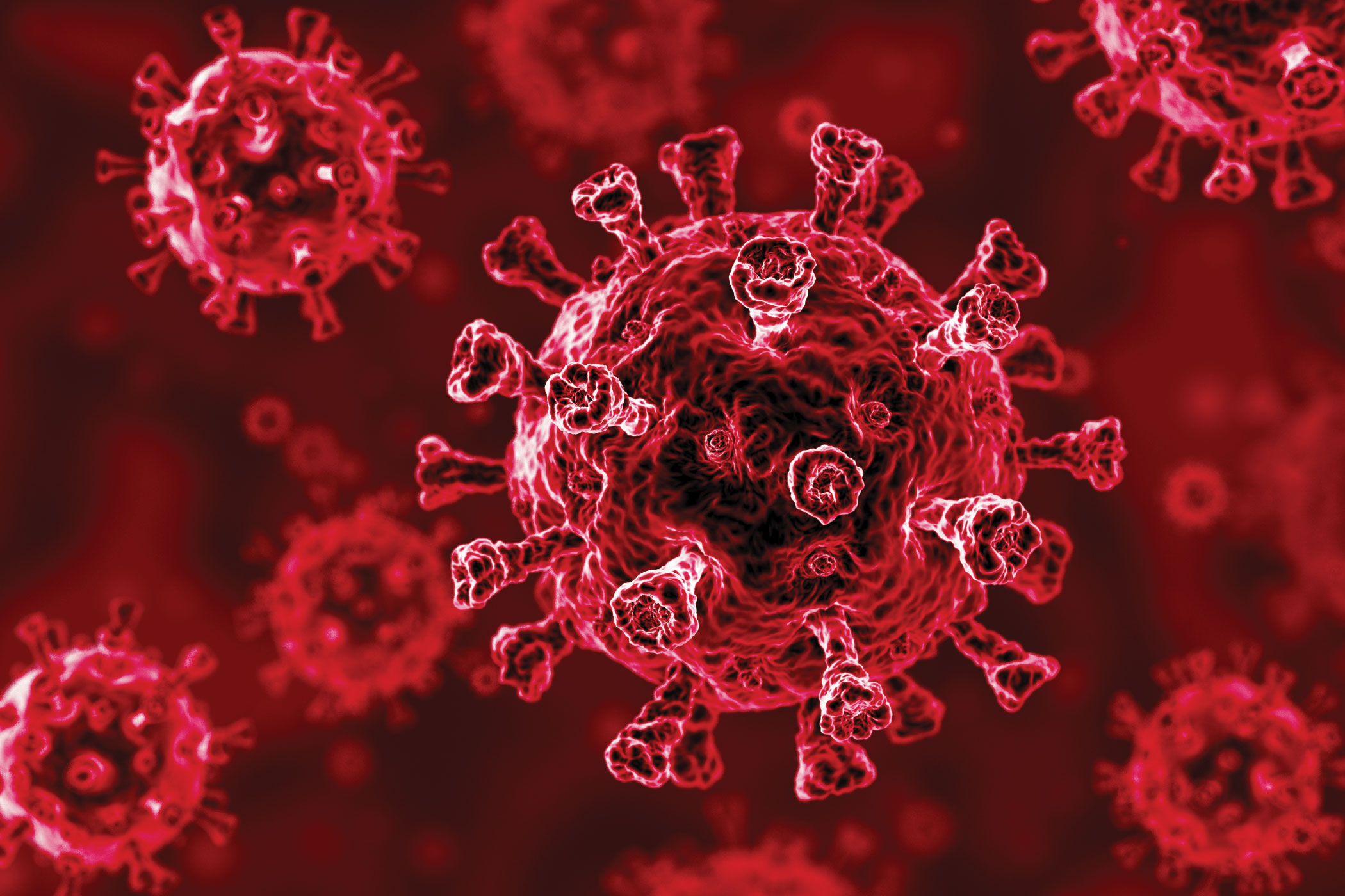 Experts feared a disease rebound after COVID-19. It didn’t happen. Experts feared a disease rebound after COVID-19. It didn’t happen.
