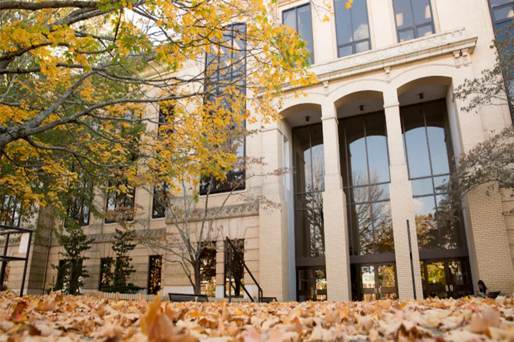 Four new CAES Rural Scholars embrace first semester