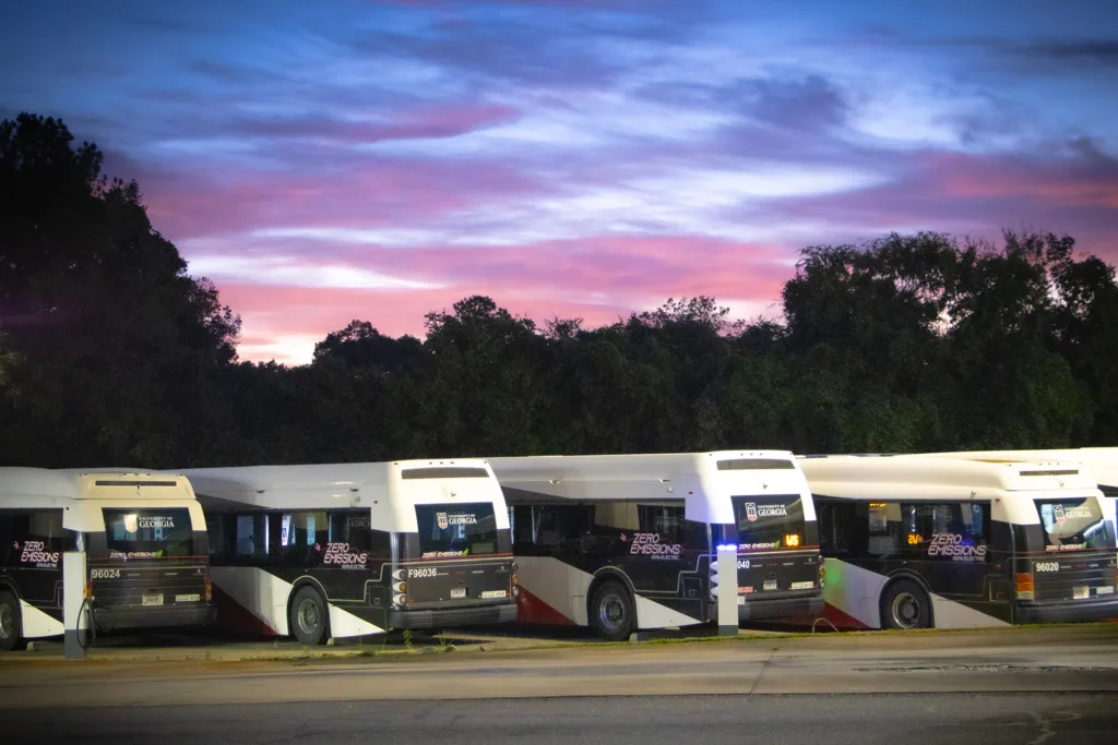 University of Georgia buses parked in a row under a colorful sunrise.