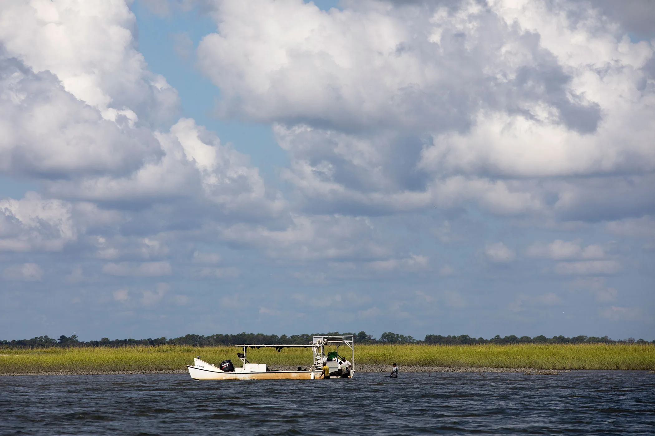 NSF grant renewed to protect Georgia coastlines