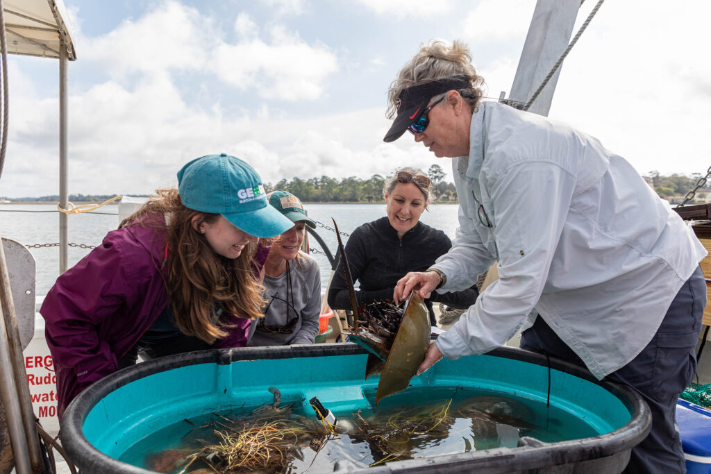 A woman on the right shows a group of three other women marine life.
