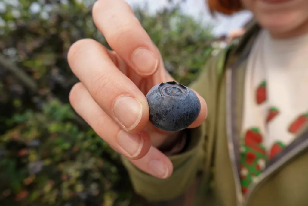 UGA Extension agents learn about global agriculture, community development in Morocco