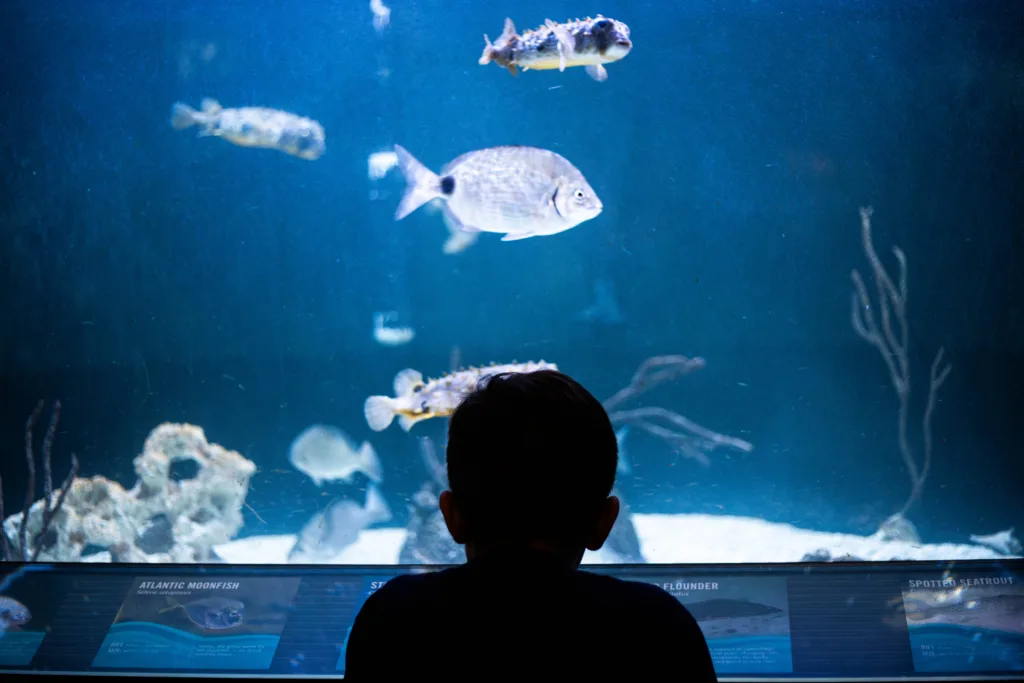 Where Coast Meets Classroom