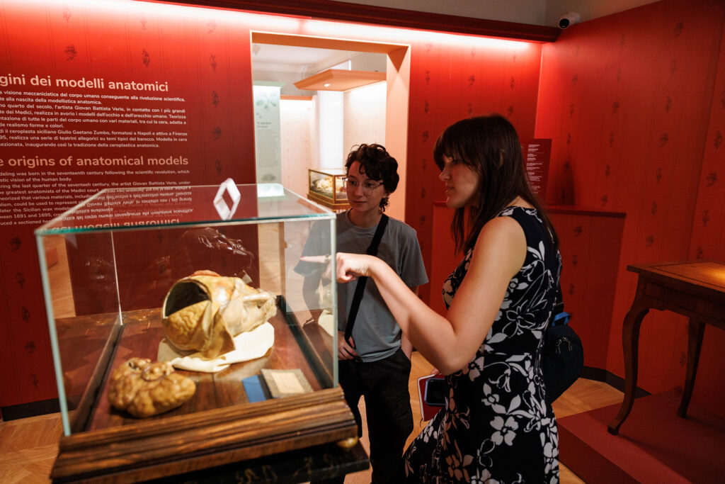 Two people study anatomical wax figures displayed in glass cases inside Florence museum.