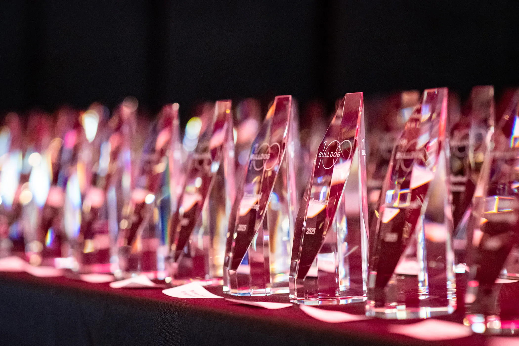 Rows of gleaming glass Bulldog 100 awards reflect colorful light on a dark table.