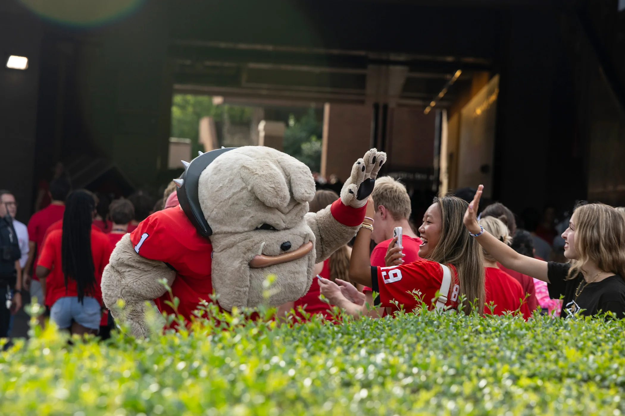 The number of students applying to the University of Georgia continues to rise