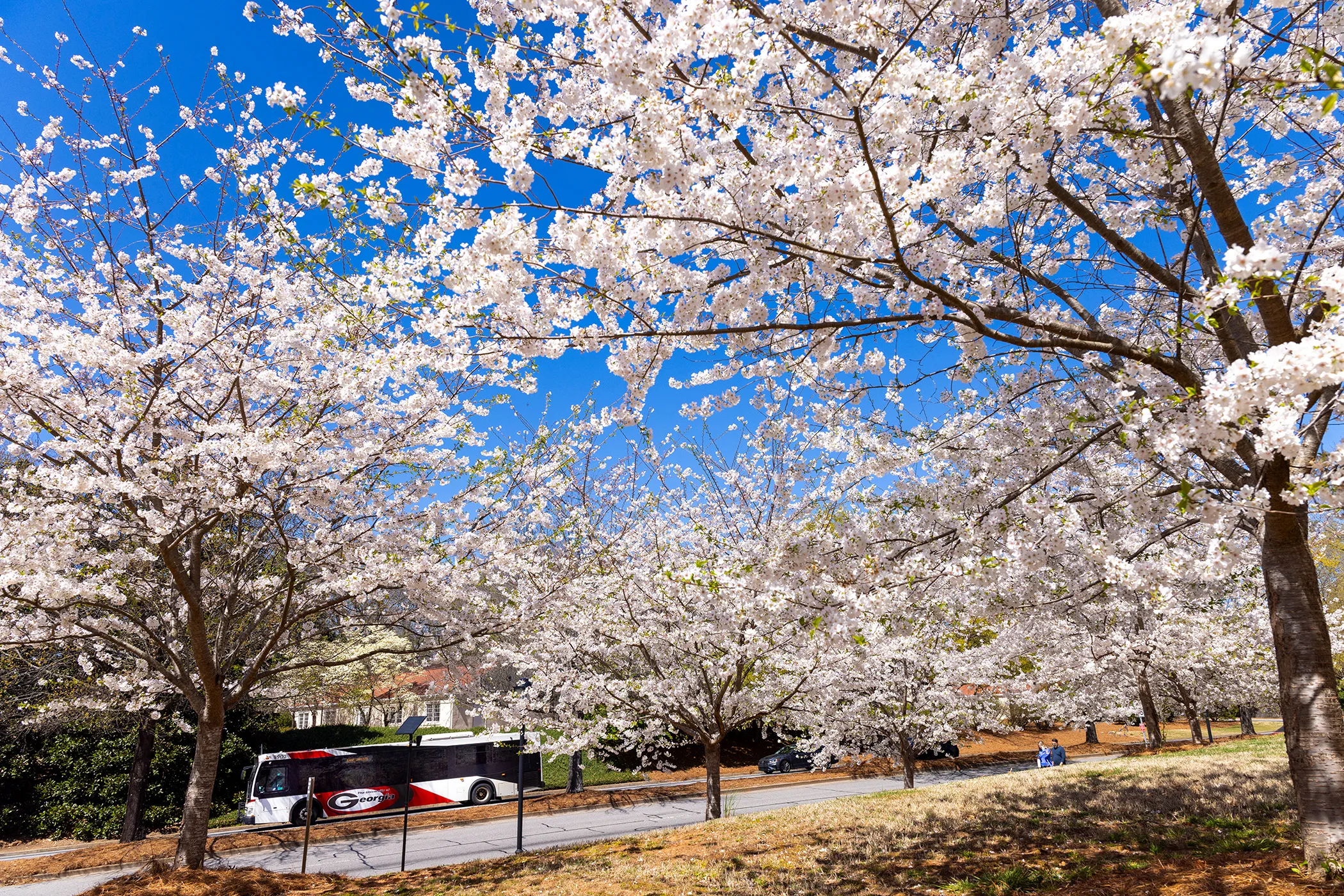 2025: Photos of the year