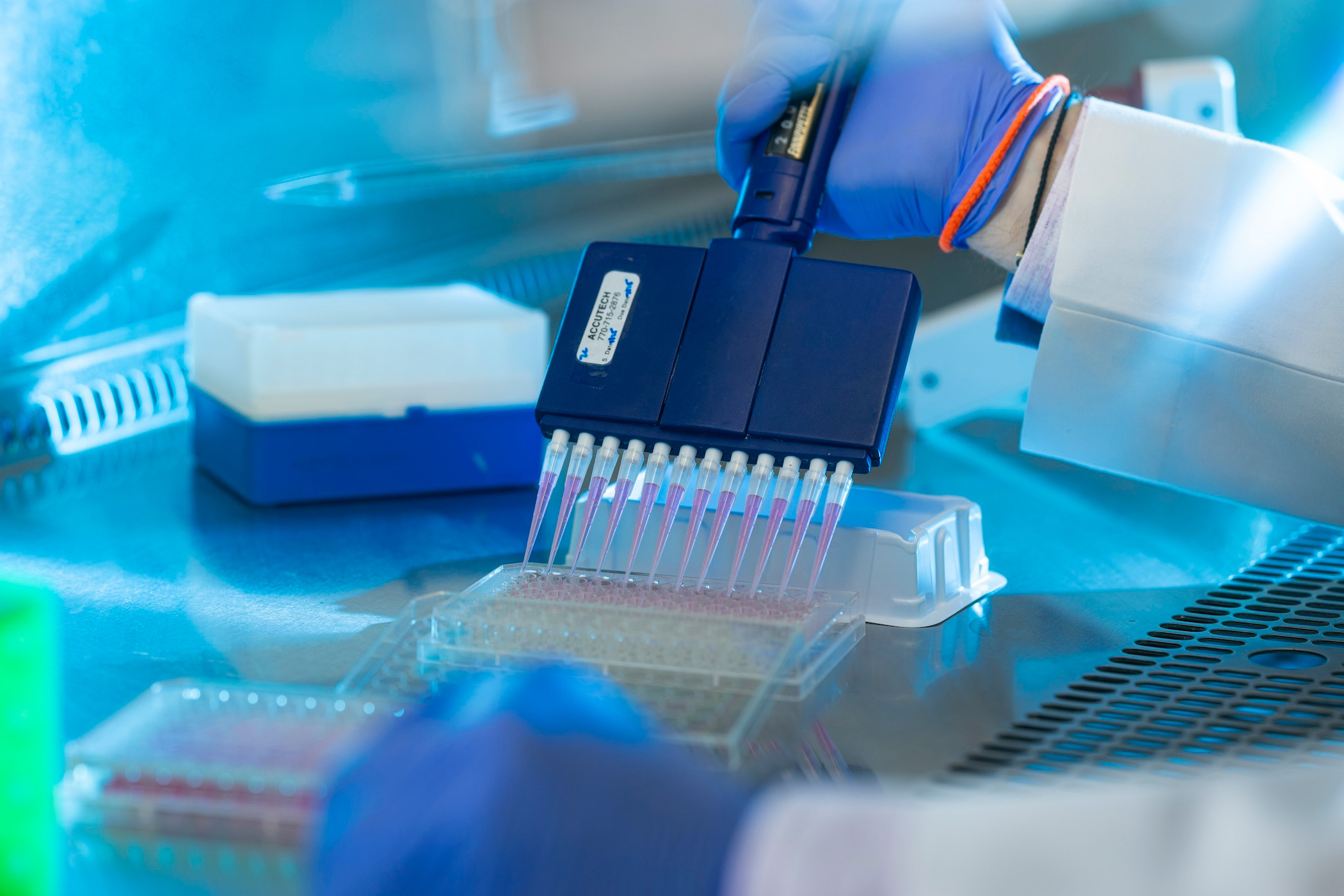 UGA sets another record with $654M in R&D expenditures in FY25