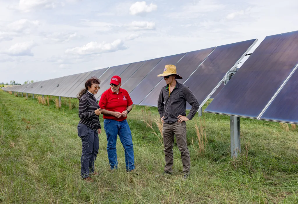 Cultivating Innovation