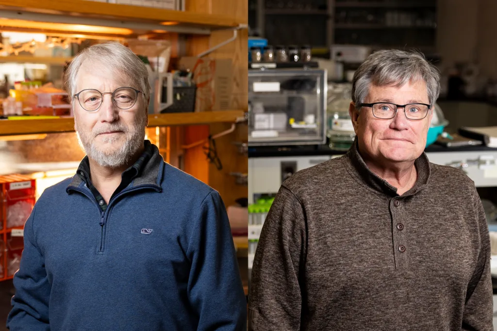 Parrott, Rhodes named 2026 University Professors