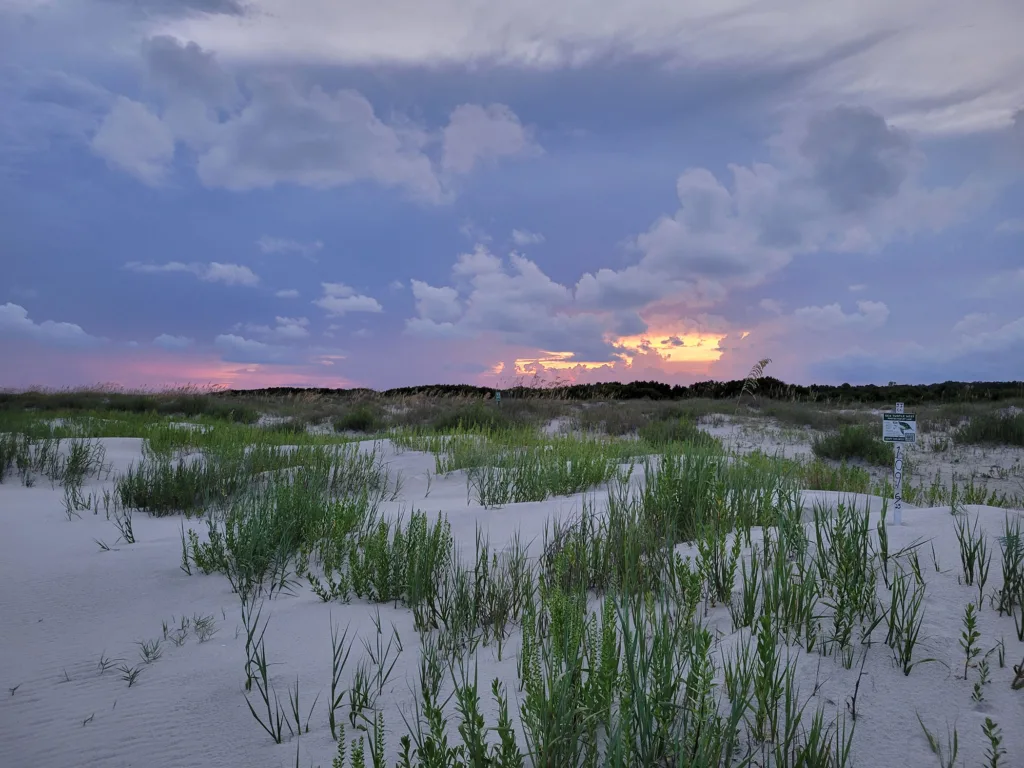 The sun sets over dunes on Jekyll Island.