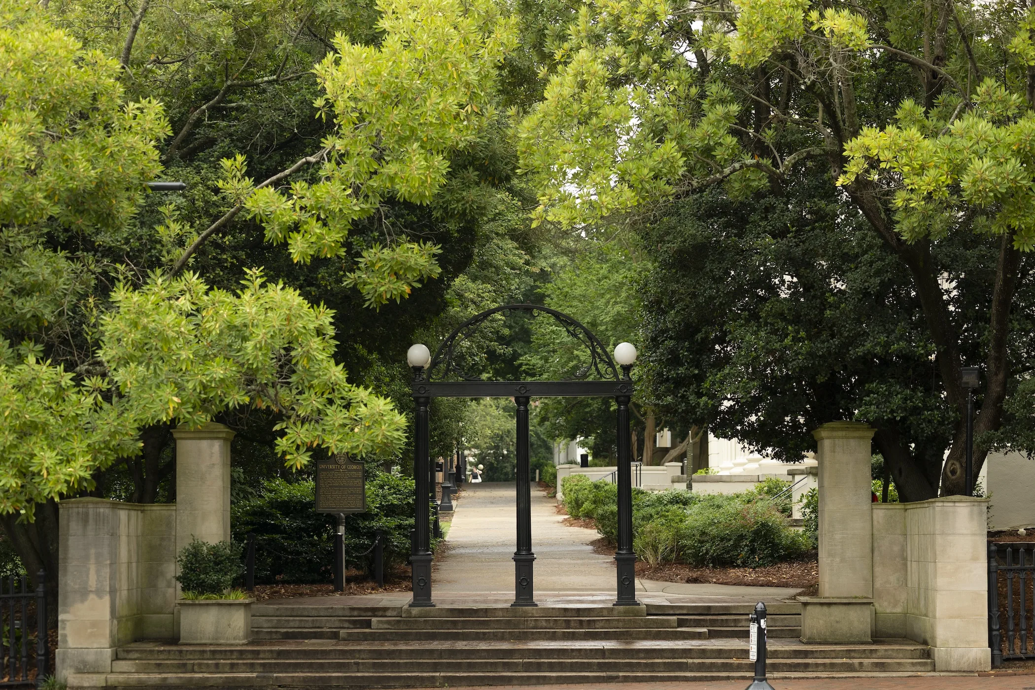 Celebrating excellence: UGA to host 2026 Honors Week programs